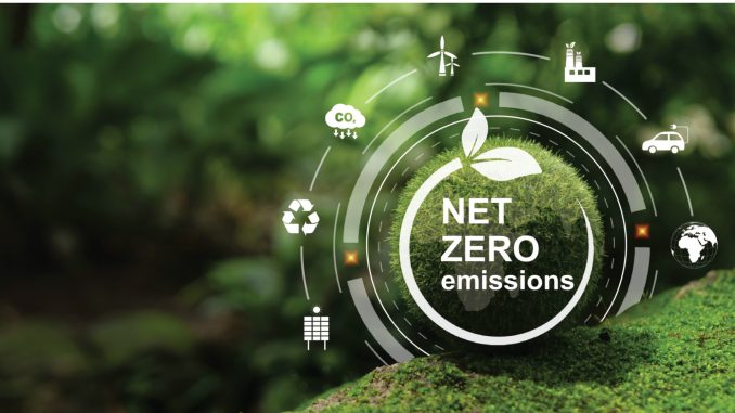 CPAs Play Crucial Role in Navigating Net-Zero Transition