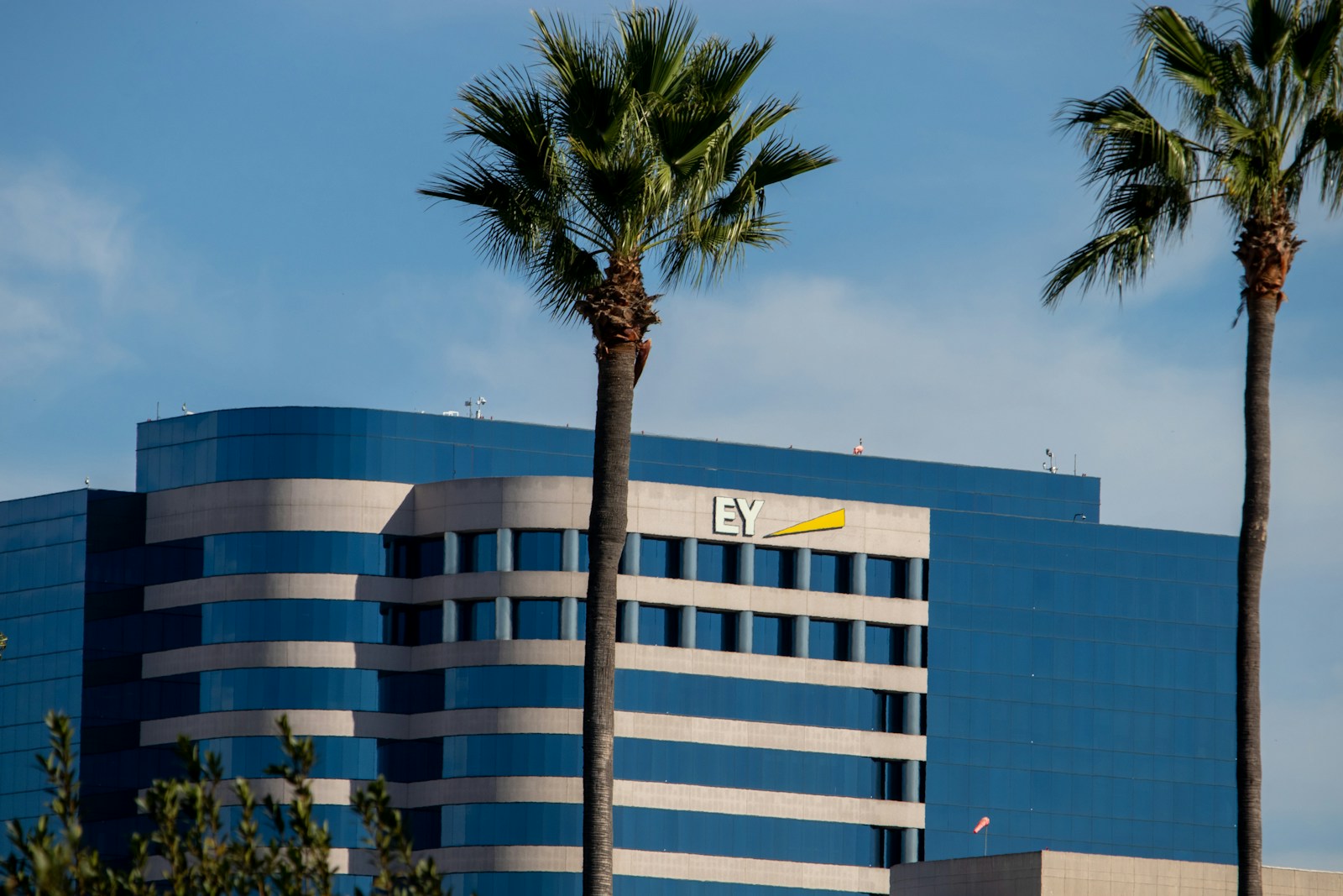 EY faces fraud allegations from investors